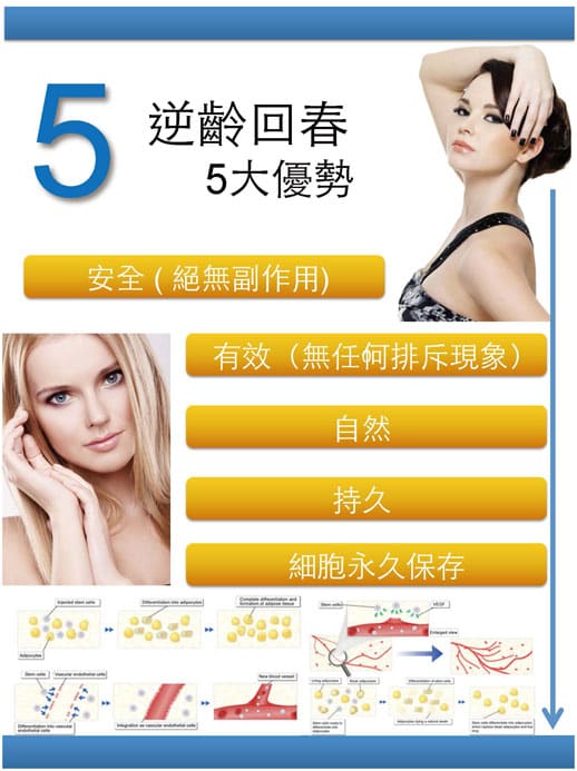 自體幹細胞抗老化療程優點