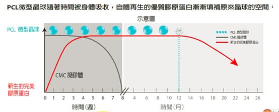 Ellanse 作用原理 4